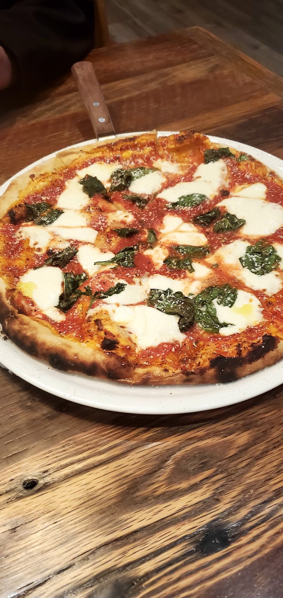 Margherita Pizza