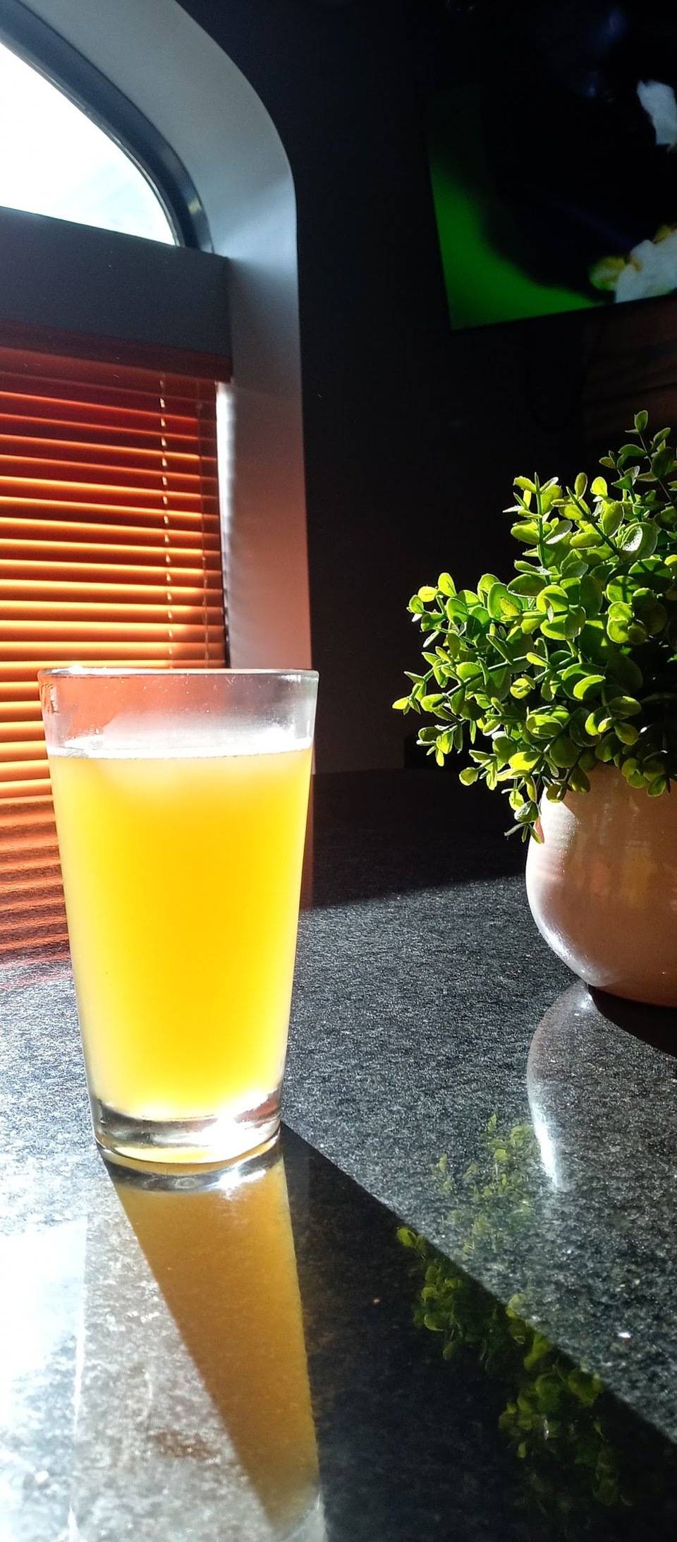 Mimosa